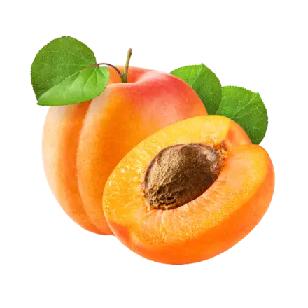 Apricot