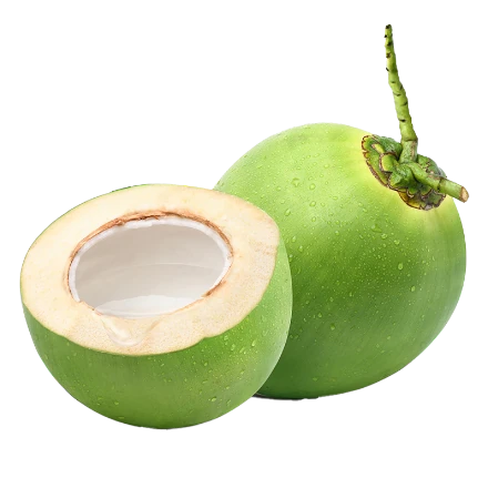 Coconut