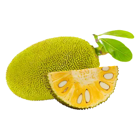 Jack Fruit